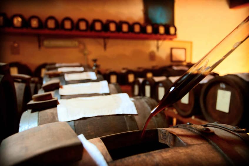 Modena: tour & taste of Bio,Traditional Balsamic Vinegar PDO 1