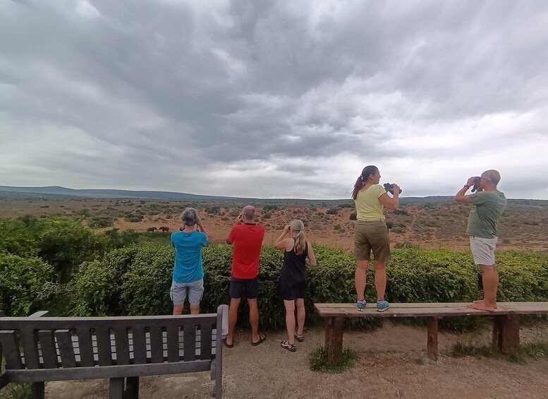 A group of people standing on a bench overlooking a desert landscape with sparse vegetation and distant hills. 3
