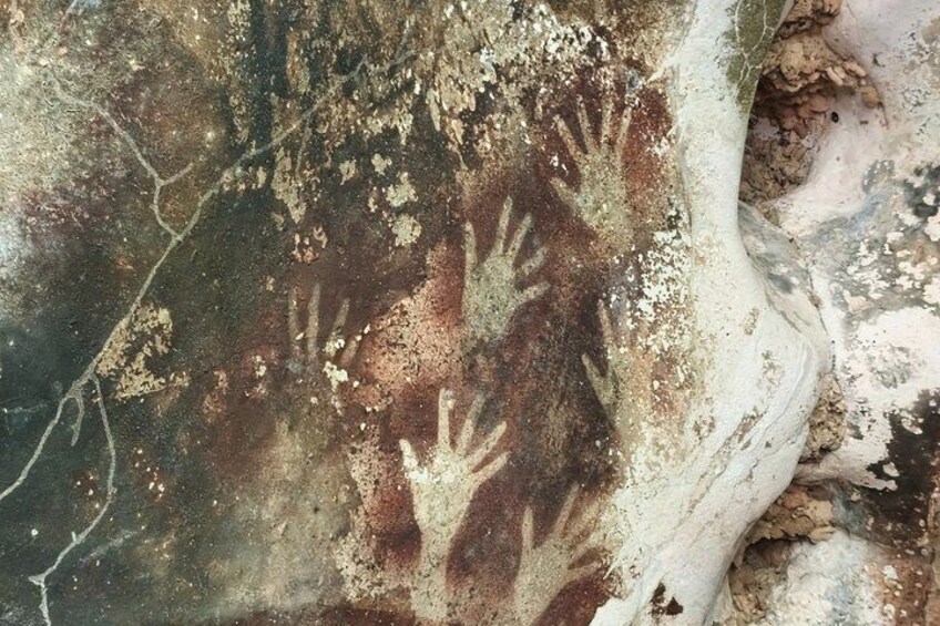 A rock surface with ancient handprints and natural erosion patterns. 5