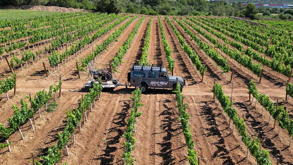 A vineyard with rows of grapevines and a utility vehicle labeled 'SODCREW' in the center. 5