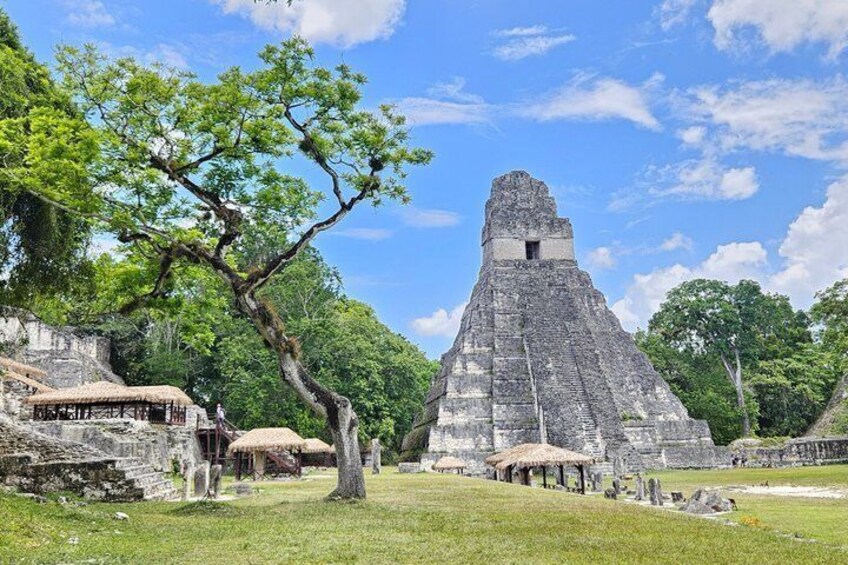 A pyramid structure surrounded by trees and ancient ruins. 1