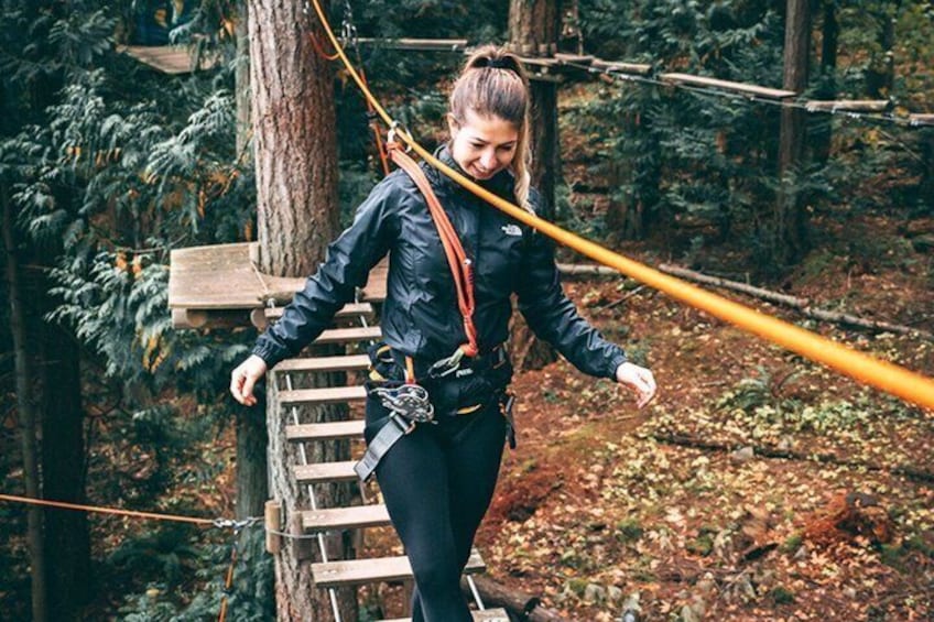 A person on a wooden suspension bridge in a forest. 5