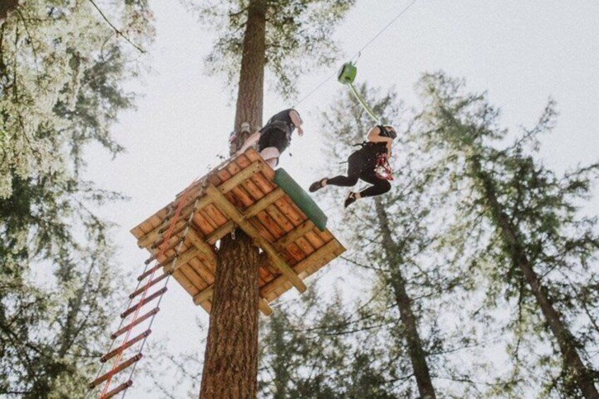 A person on a wooden platform attached to a tree, another person in a harness suspended above, and a zip line in a forested area. 2