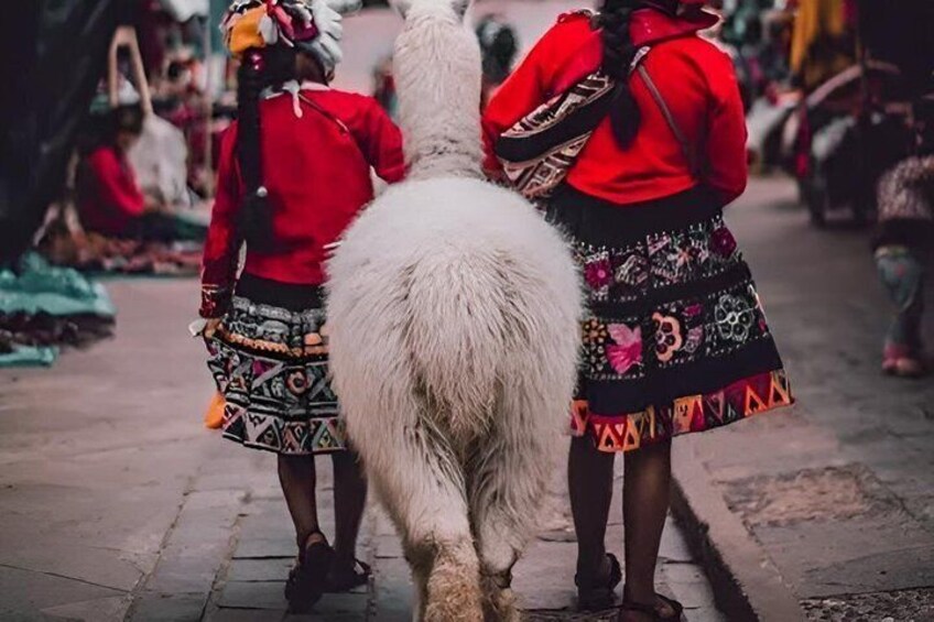 Two individuals in traditional attire walking a llama down a street. 2