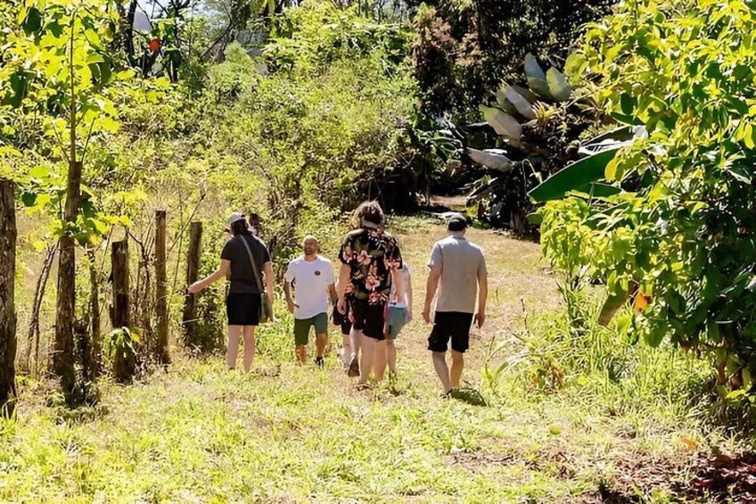 A group of people walking on a grassy path surrounded by trees and vegetation. 3