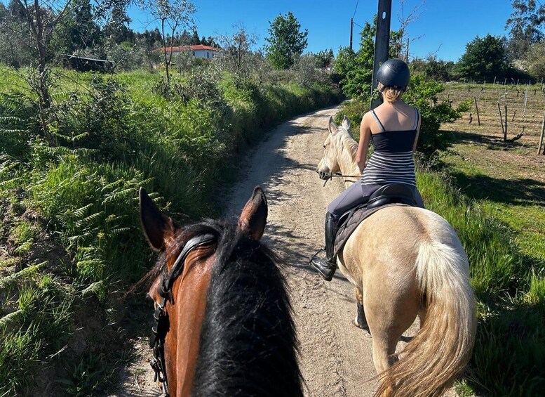 A person riding a horse on a dirt path surrounded by greenery and trees. 4