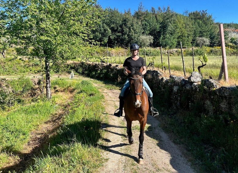 A person riding a horse on a dirt path surrounded by greenery and stone walls. 3