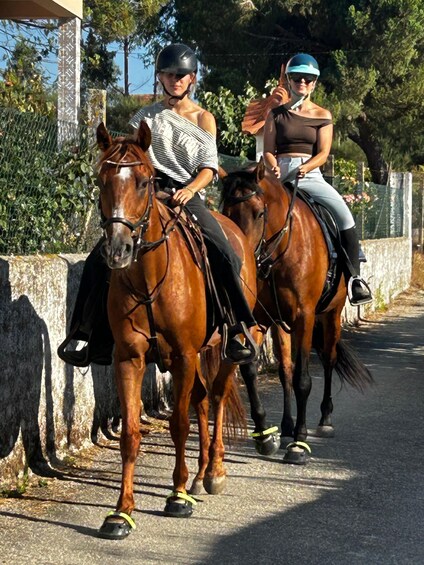 Two people riding horses on a paved path with greenery in the background. 1