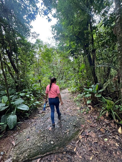 A person walking on a forest path surrounded by dense foliage. 4