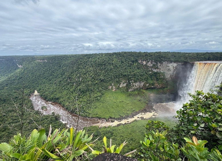 A waterfall cascading down a cliff surrounded by dense forest. 2