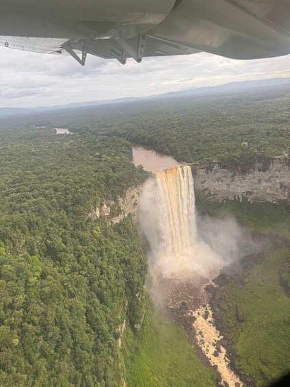 A waterfall cascading down a cliff surrounded by dense forest. 3