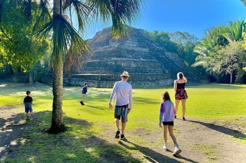 A group of people walking on a grassy path in a park with palm trees and a large stone structure in the background. 2