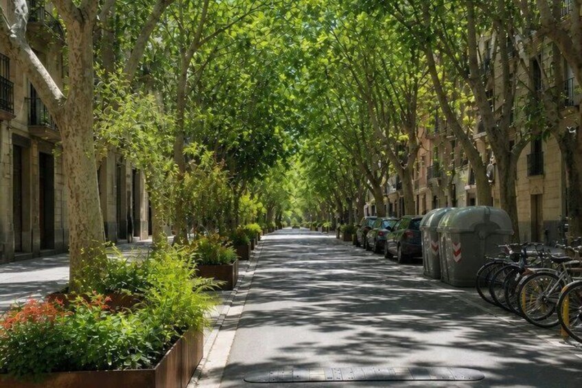 A tree-lined street with parked cars and bicycles. 5