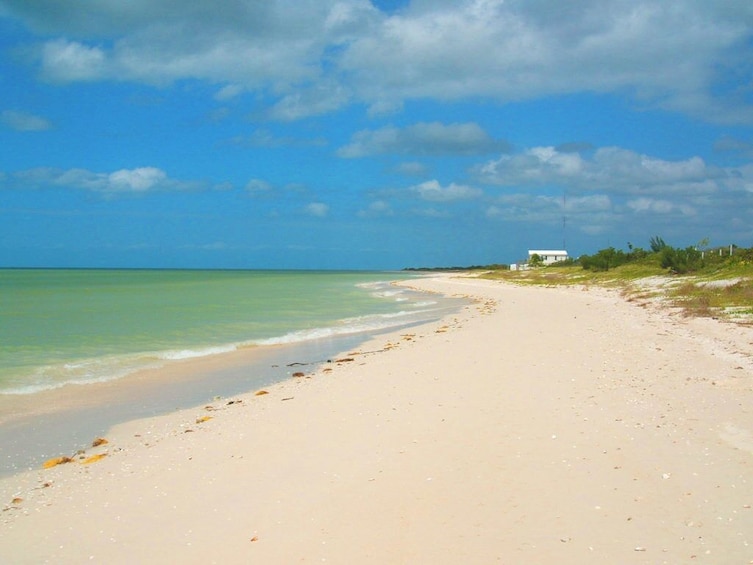 Private Tour! Celestun, Salinera, Hacienda Real and Flamingos from Merida 3