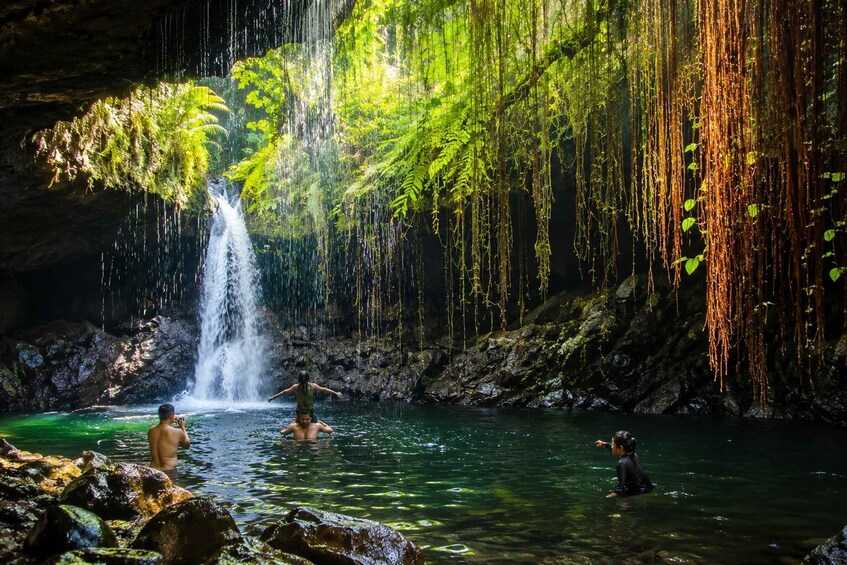 A waterfall in a forested area with people swimming in the water. 4
