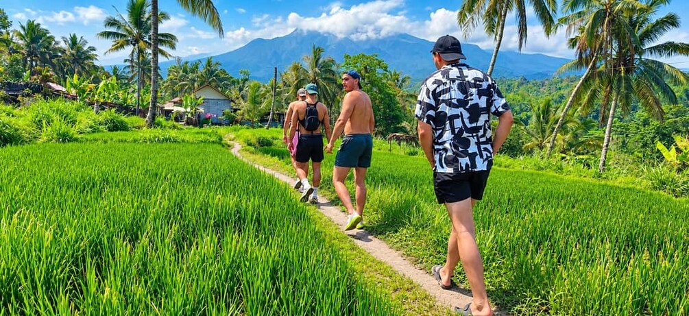 A group of people walking on a path through a lush green field with palm trees and a mountain in the background. 5