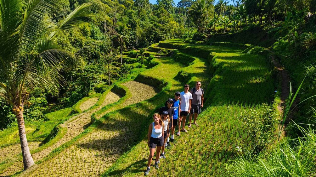 A group of people hiking on a terraced path through a lush, green landscape with palm trees and dense foliage. 2