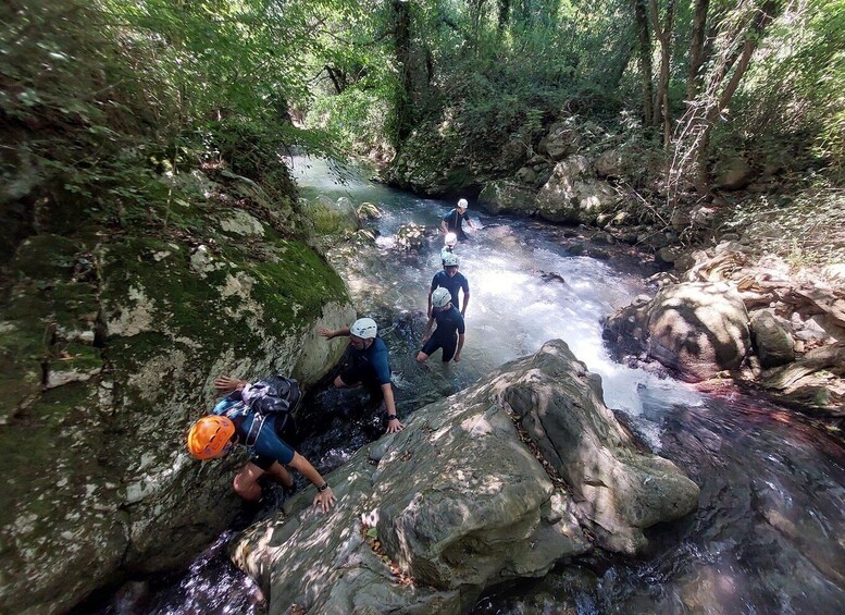 A group of people navigating a rocky stream in a forested area. 1