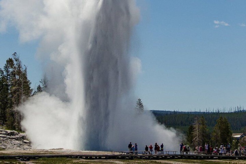 A geyser erupting with steam, surrounded by trees and a clear sky. 1