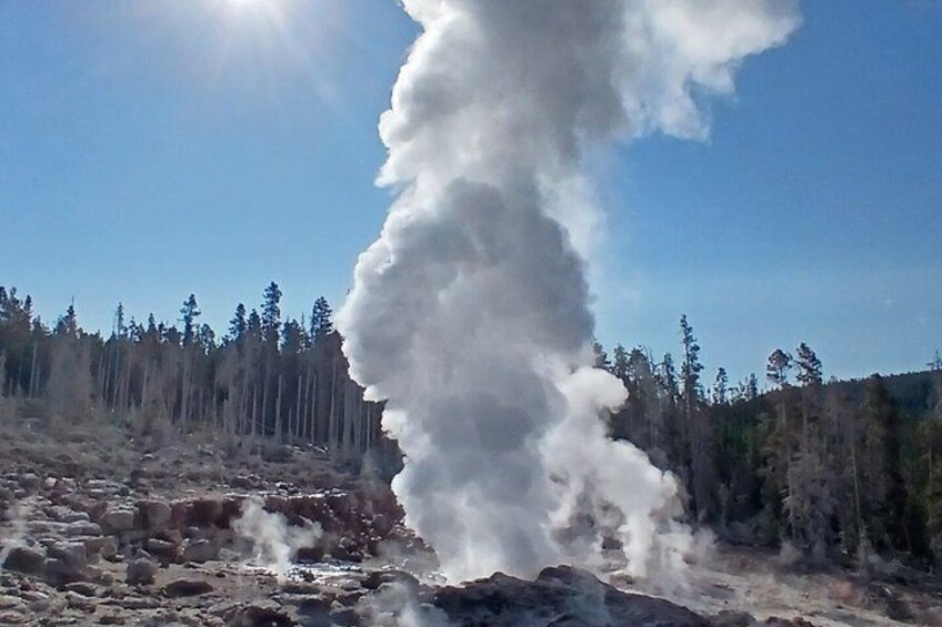 A geyser erupting with steam against a clear sky and forested background. 5