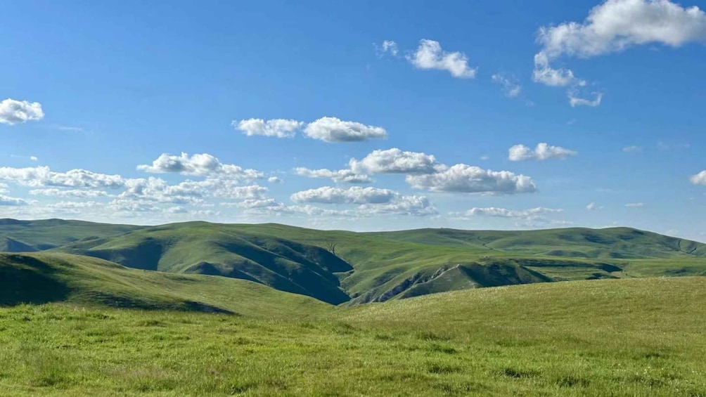 Picture 8 for Activity Inner Mongolia: Exploring Grassland Volcanoes 5