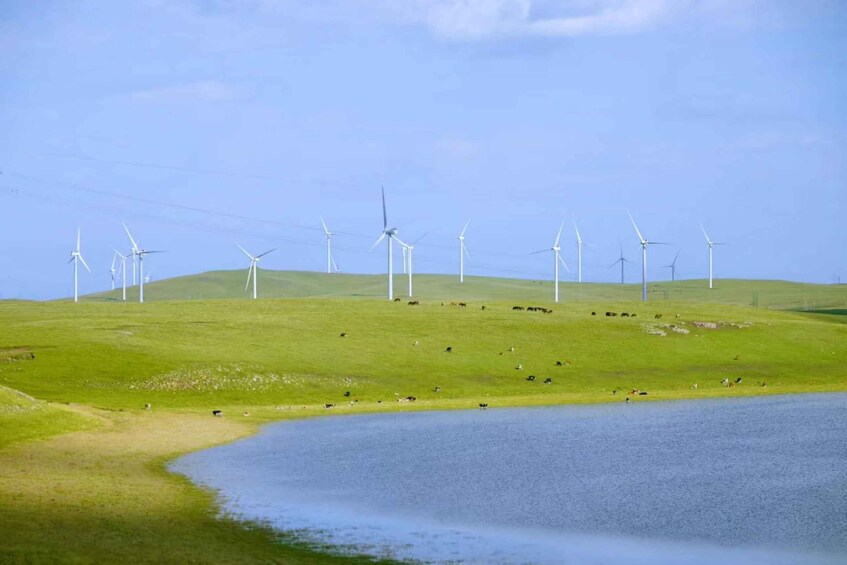 Picture 7 for Activity Inner Mongolia: Exploring Grassland Volcanoes 4