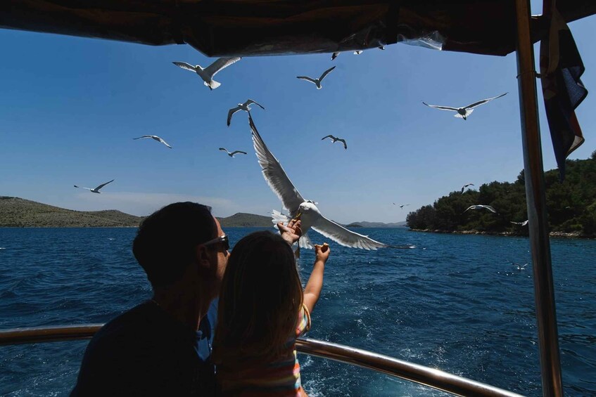 A couple on a boat with seagulls flying around them. 5