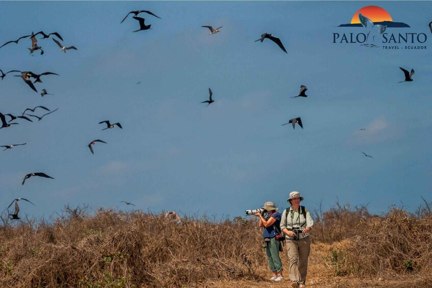 Puerto López: Isla de la Plata: The Magic of Mini Galápagos Awaits You 1