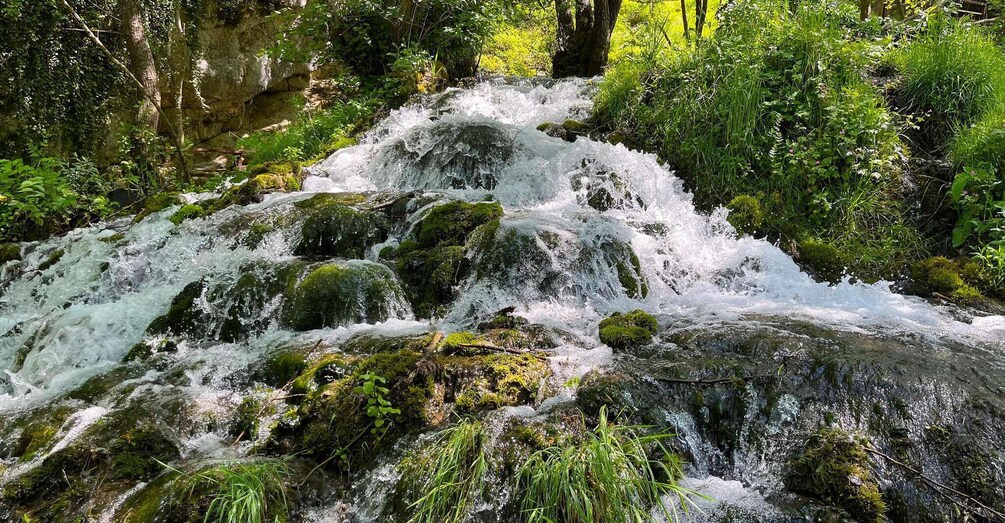 A cascading waterfall surrounded by lush greenery. 4