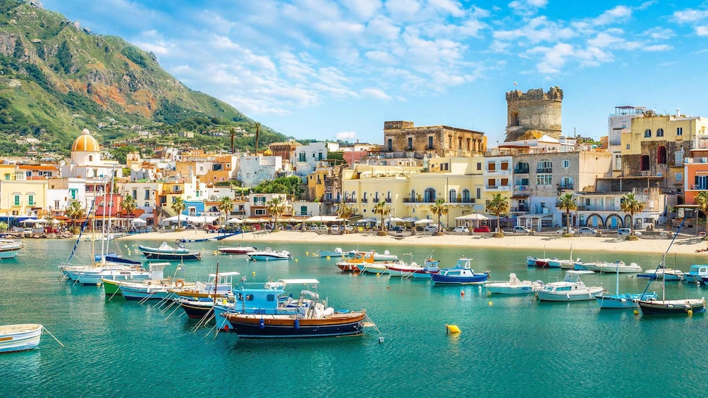 A coastal town with historic buildings, a castle, and numerous boats docked at the marina. 2