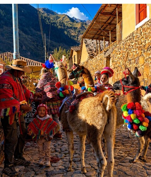A traditional festival with people in colorful attire, llamas adorned with decorations, and a mountainous backdrop. 4