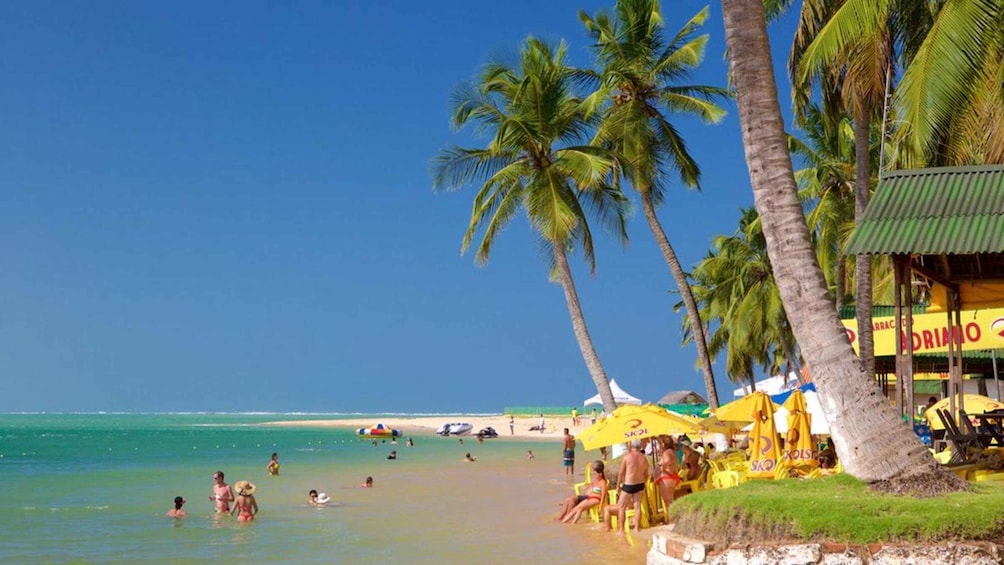 A beach with palm trees, a clear blue sky, and a few people swimming. 1