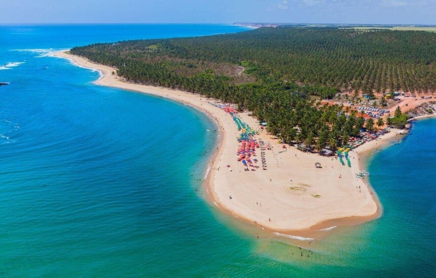 A coastal landscape with a sandy beach, clear turquoise waters, and a dense forested area. 4