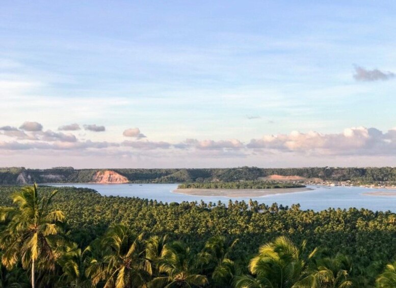 A coastal landscape with dense palm trees, a large body of water, and a distant island. 3