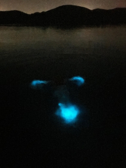 A dark landscape with a silhouette of mountains in the background and a bright blue light source in the foreground. 5