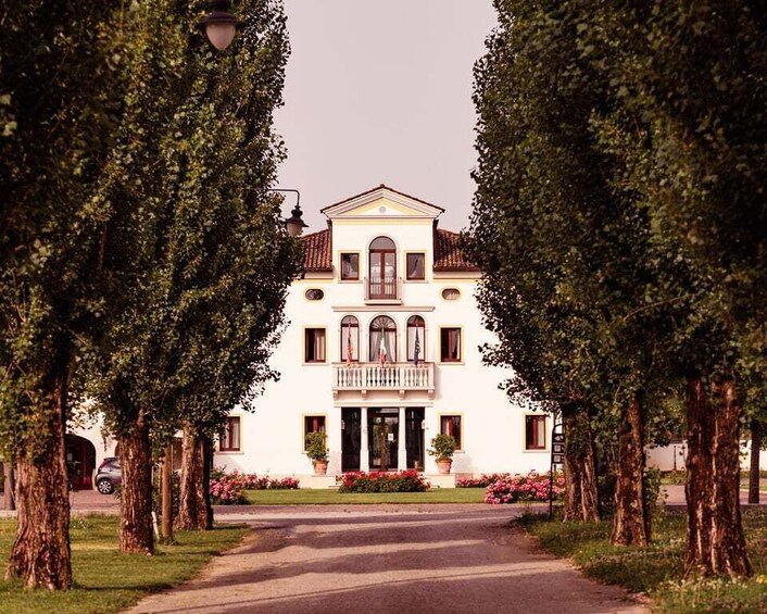 A large white building with a red-tiled roof, surrounded by trees and a paved path leading to the entrance. 1