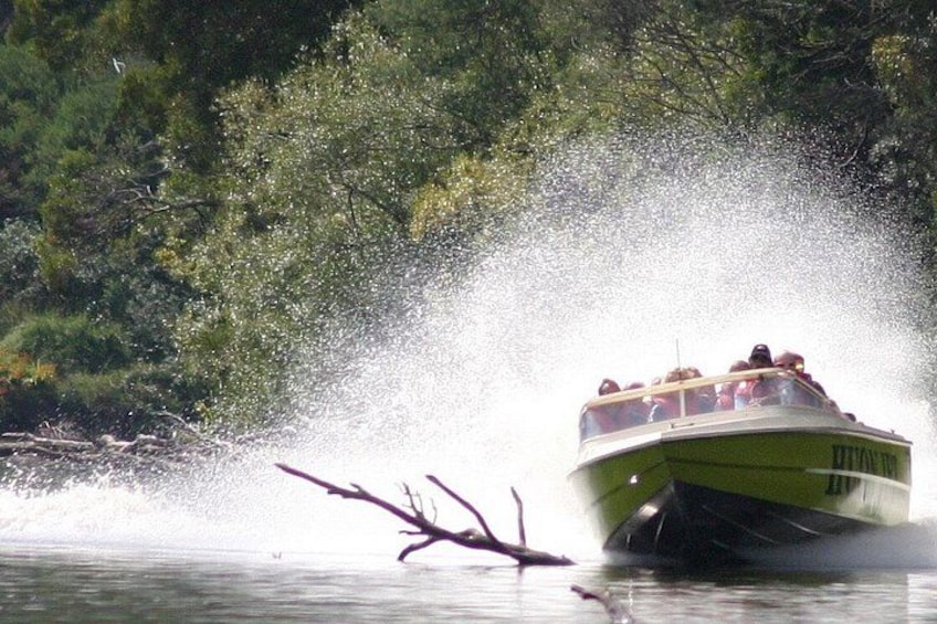 A green boat creating a large splash in calm water, surrounded by dense green foliage. 2