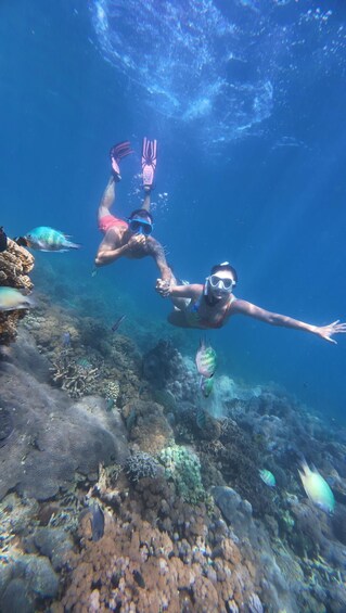 Two divers underwater with coral reefs and fish. 5