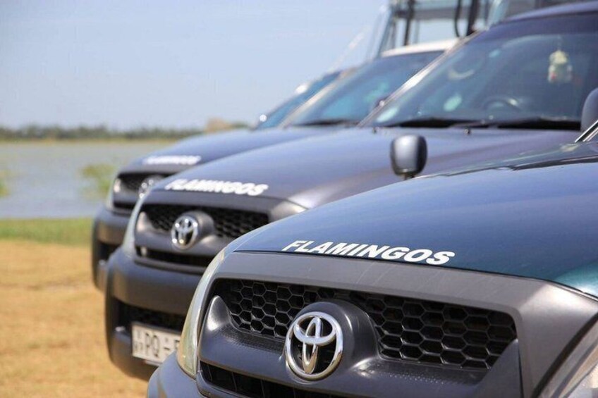 Three Toyota Land Cruiser vehicles with 'FLAMINGOS' branding parked near a body of water. 3