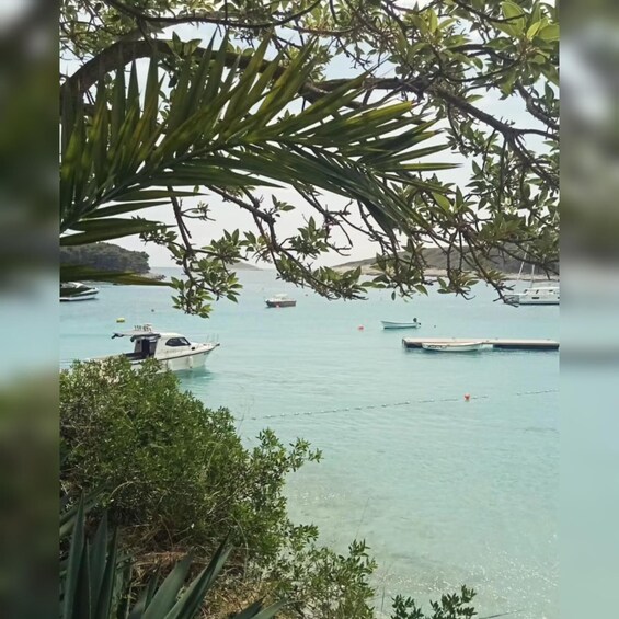 A calm body of water with several boats anchored, surrounded by lush greenery and a distant island. 4