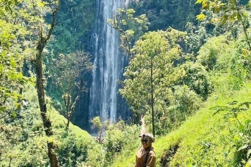 Materuni Waterfalls and Organic Arabica Coffee Tour from Moshi 5