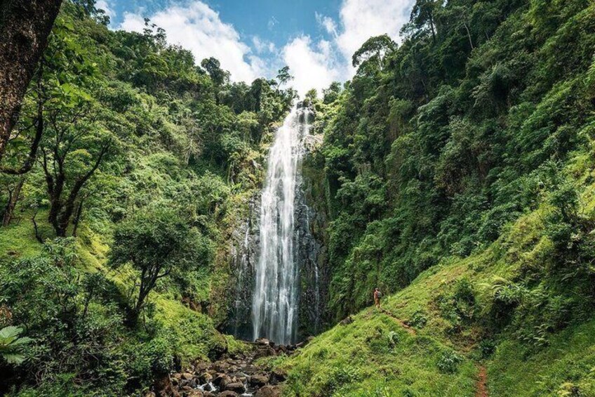 Materuni Waterfalls and Organic Arabica Coffee Tour from Moshi 1