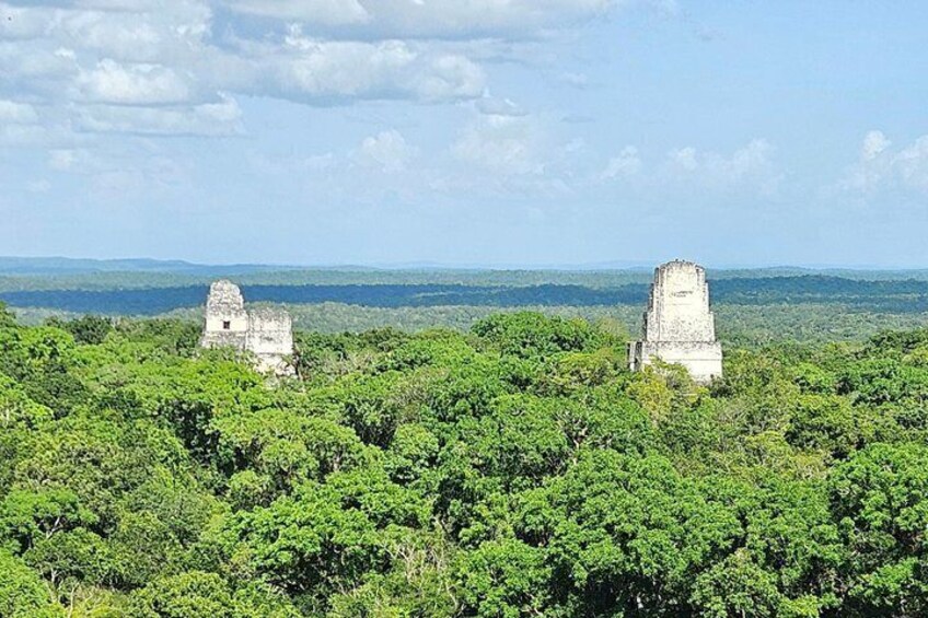 A jungle landscape with ancient Mayan ruins. 2