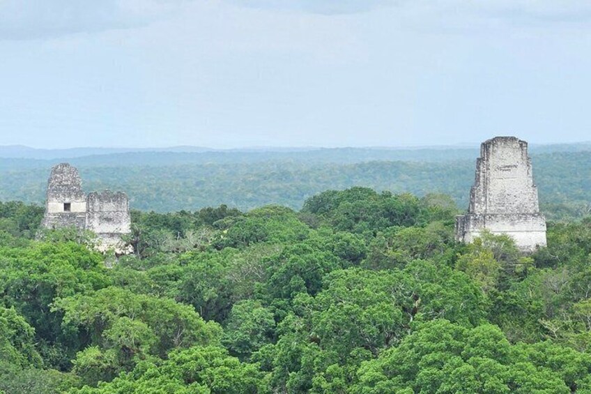 Ancient Mayan ruins surrounded by dense tropical forest. 5