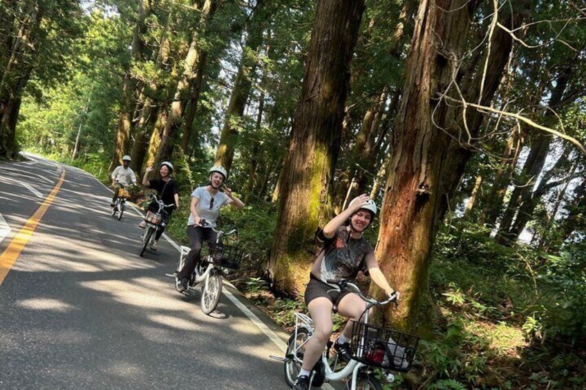 A group of cyclists on a forested road with tall trees and a clear sky. 4