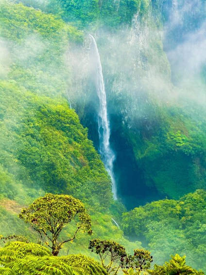 A waterfall cascading down a lush green mountain. 1