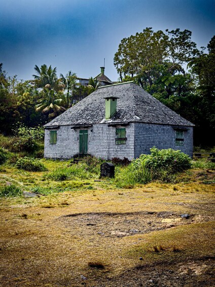 A white wooden house with green shutters, surrounded by lush greenery and palm trees. 2