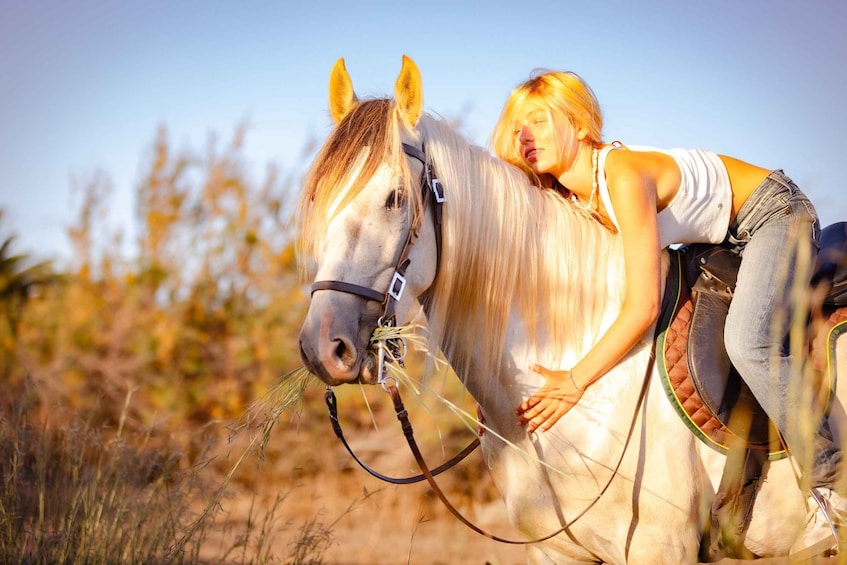 A person riding a horse in a field with dry grass and sparse vegetation. 3