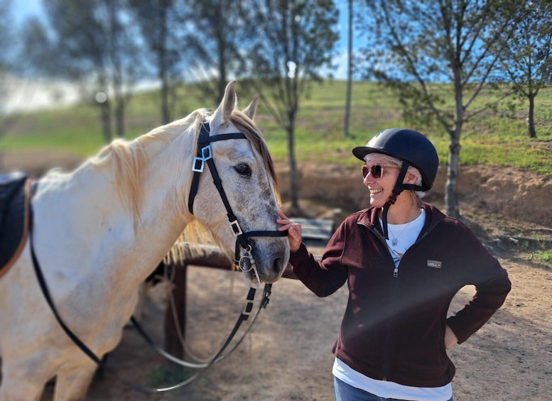 A person in a helmet and jacket interacting with a horse. 5