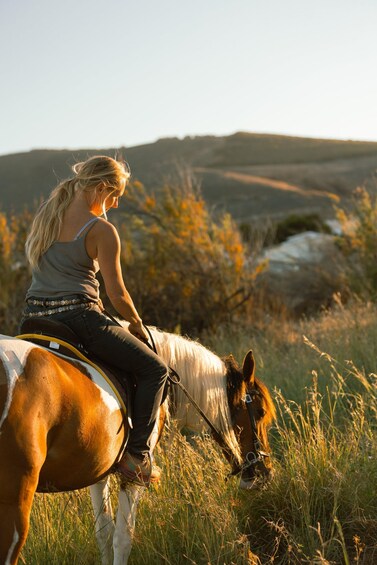A person riding a horse in a grassy field with hills in the background. 2